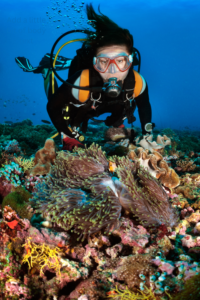 Scuba Diving
