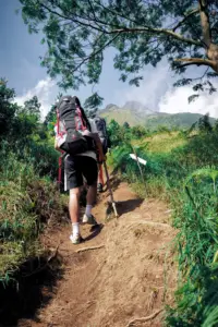 Trecking