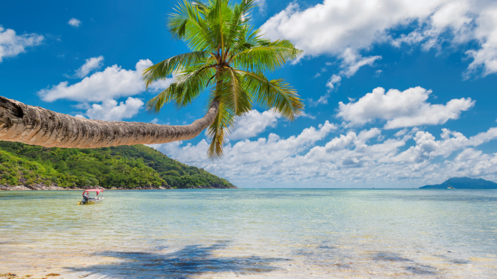 Goa