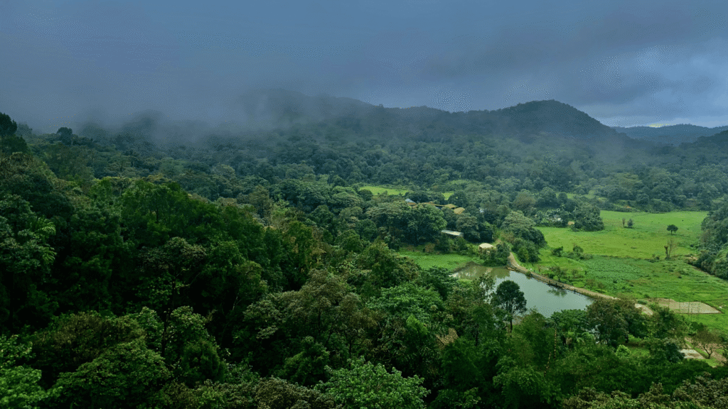 Coorg, coffee plantations